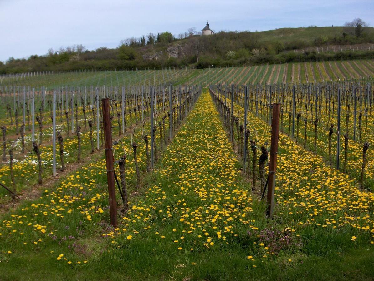 Отель Wein-Domizil Brennofen Ilbesheim bei Landau in der Pfalz Экстерьер фото